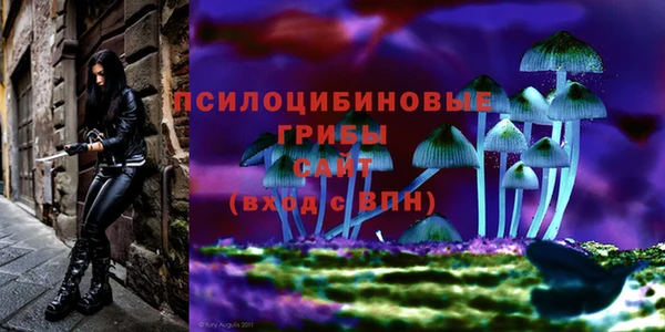 альфа пвп Верхний Тагил